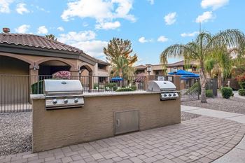 Charcoal & gas grills